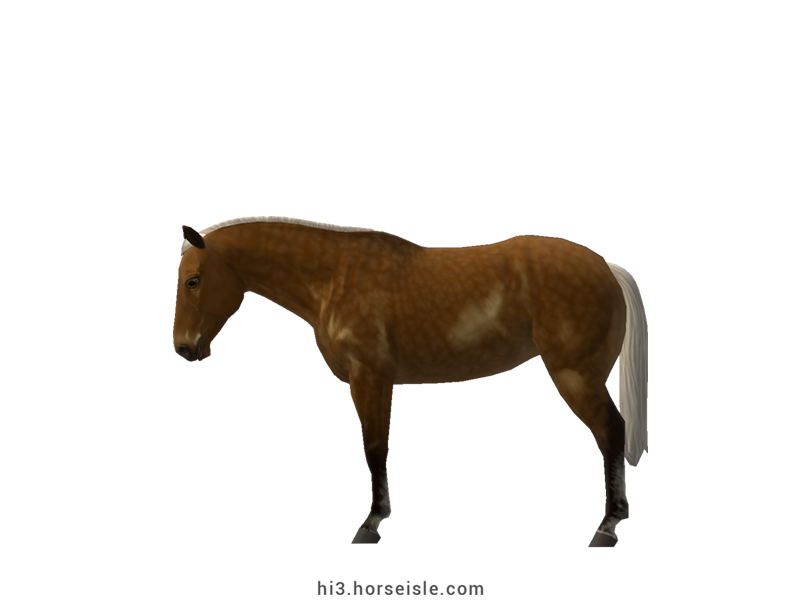 Appendix Horse Linebacked Chocolate Brown Silver Coat (left view)